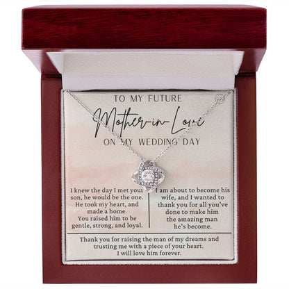 Mother in Law Gift for Wedding Day | Future Mother in Law, Meaningful Mother of the Groom Necklace, From the Bride, Gift for Mother in Law g16