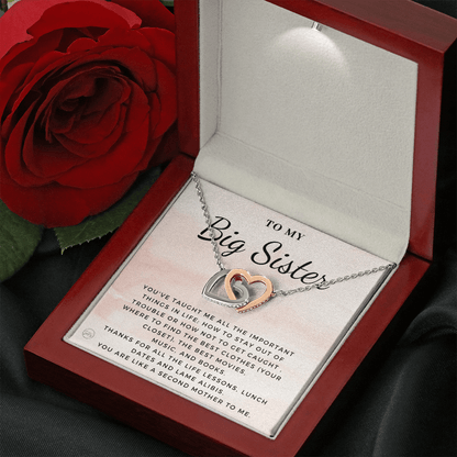 Big Sister Gift | Necklace for Older Sister, Christmas Idea, Birthday Present from Younger Sister, Best Big Sis, Heartfelt & Cute 1111eHA