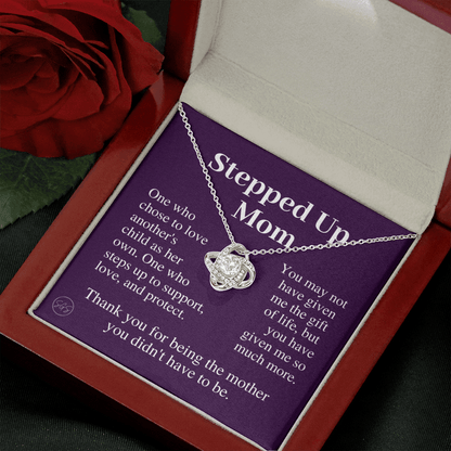 Stepped Up Mom | Gift for Stepmom, Bonus Mom, Stepmother, Grandma, Second Mama, From Step Daughter Son, Mother's Day, Birthday, Foster 125iK
