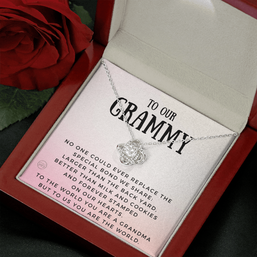 Gift for Grammy | Grandmother Nickname, Grandma, Mother's Day Necklace, Birthday, Get Well, Missing You, Grammy Definition, Christmas, From Family Grandkids  Granddaughter Grandson 1118aK